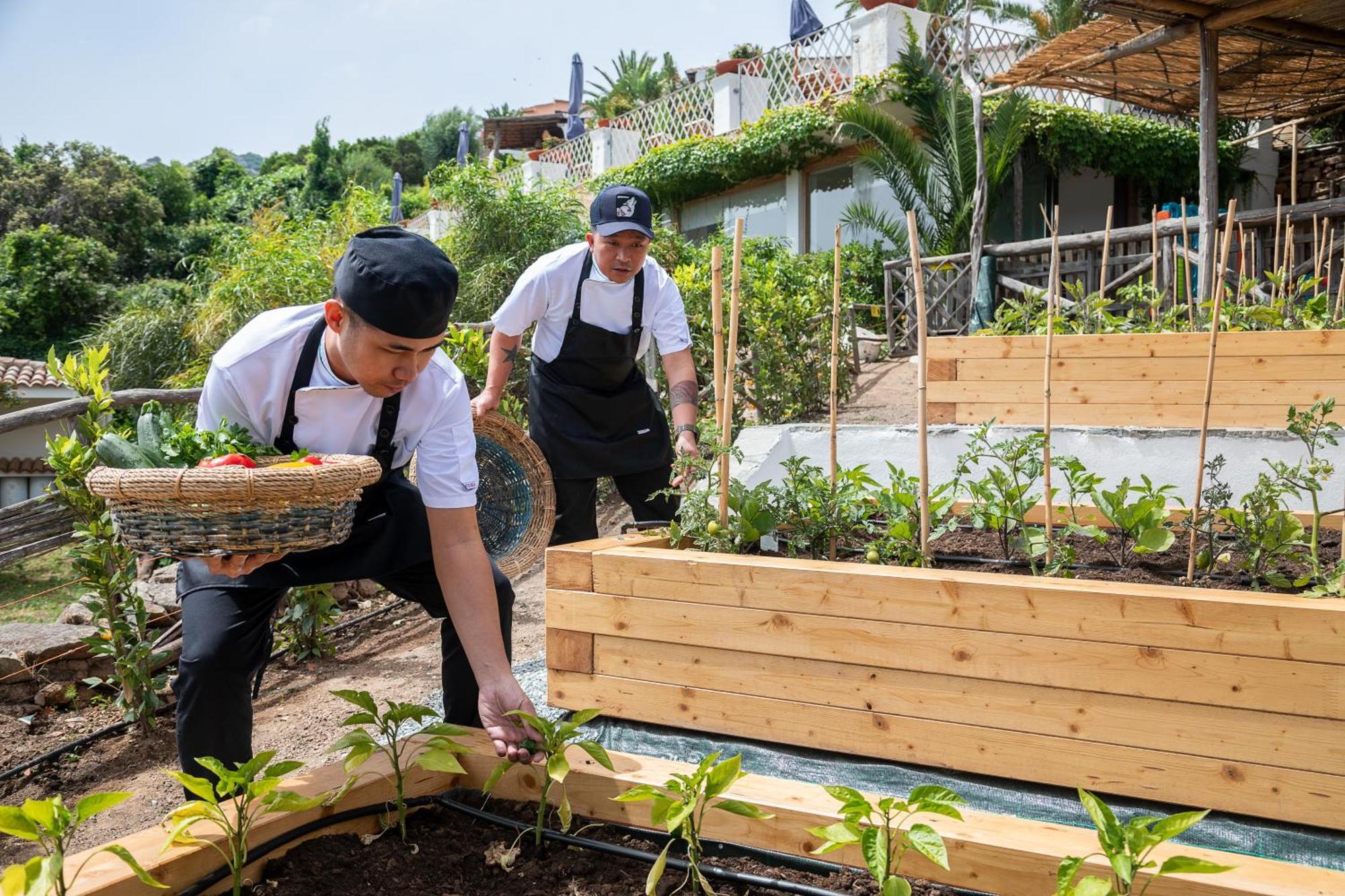 Hotel Balocco Porto Cervo Eksteriør bilde